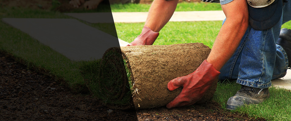 East Tawas Landscapers